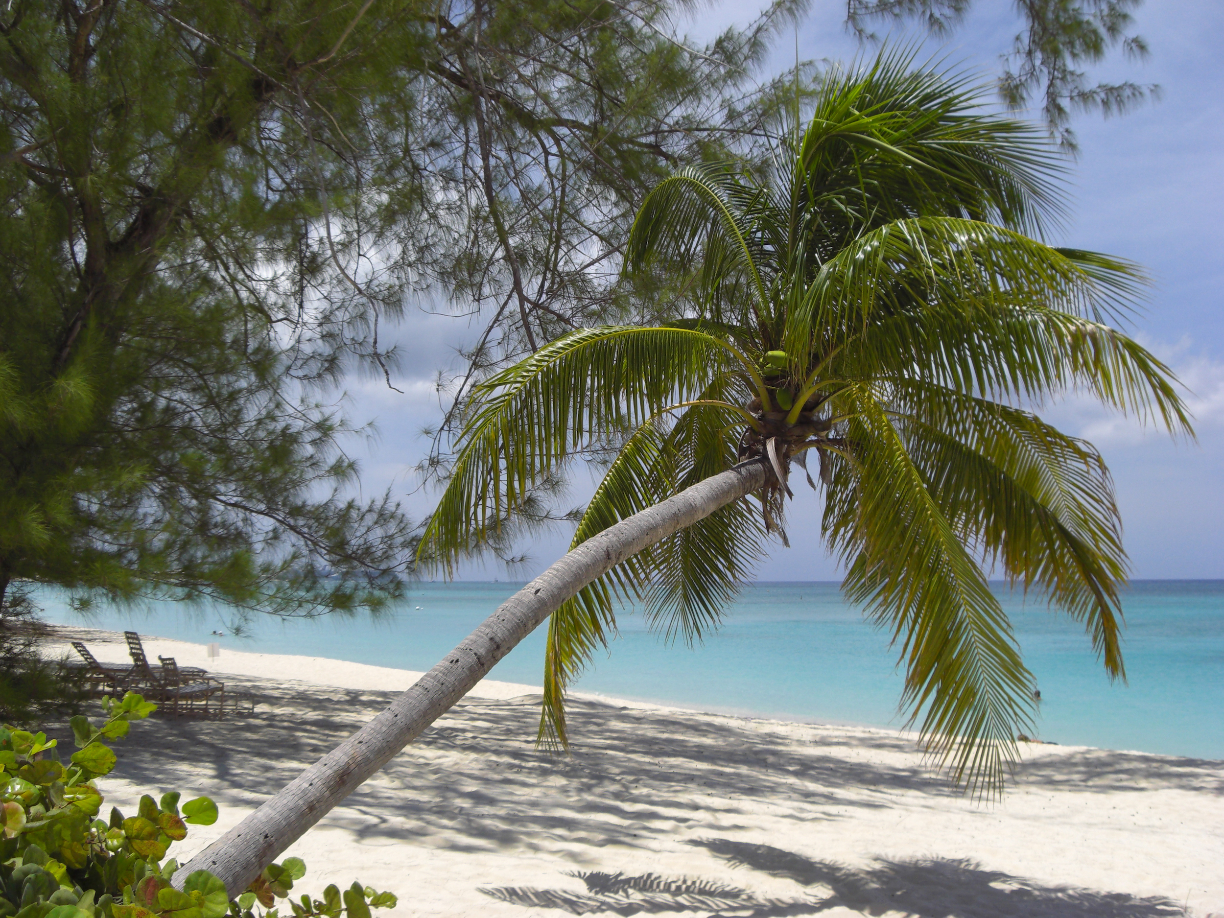 Beach in Cayman Islands