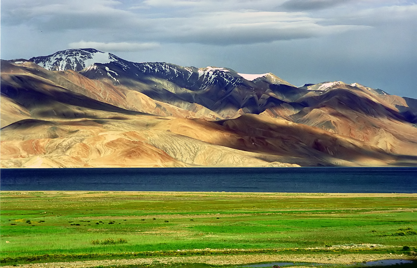 Inde - Karakoram, plateau tibétain ouest, steppe alpine