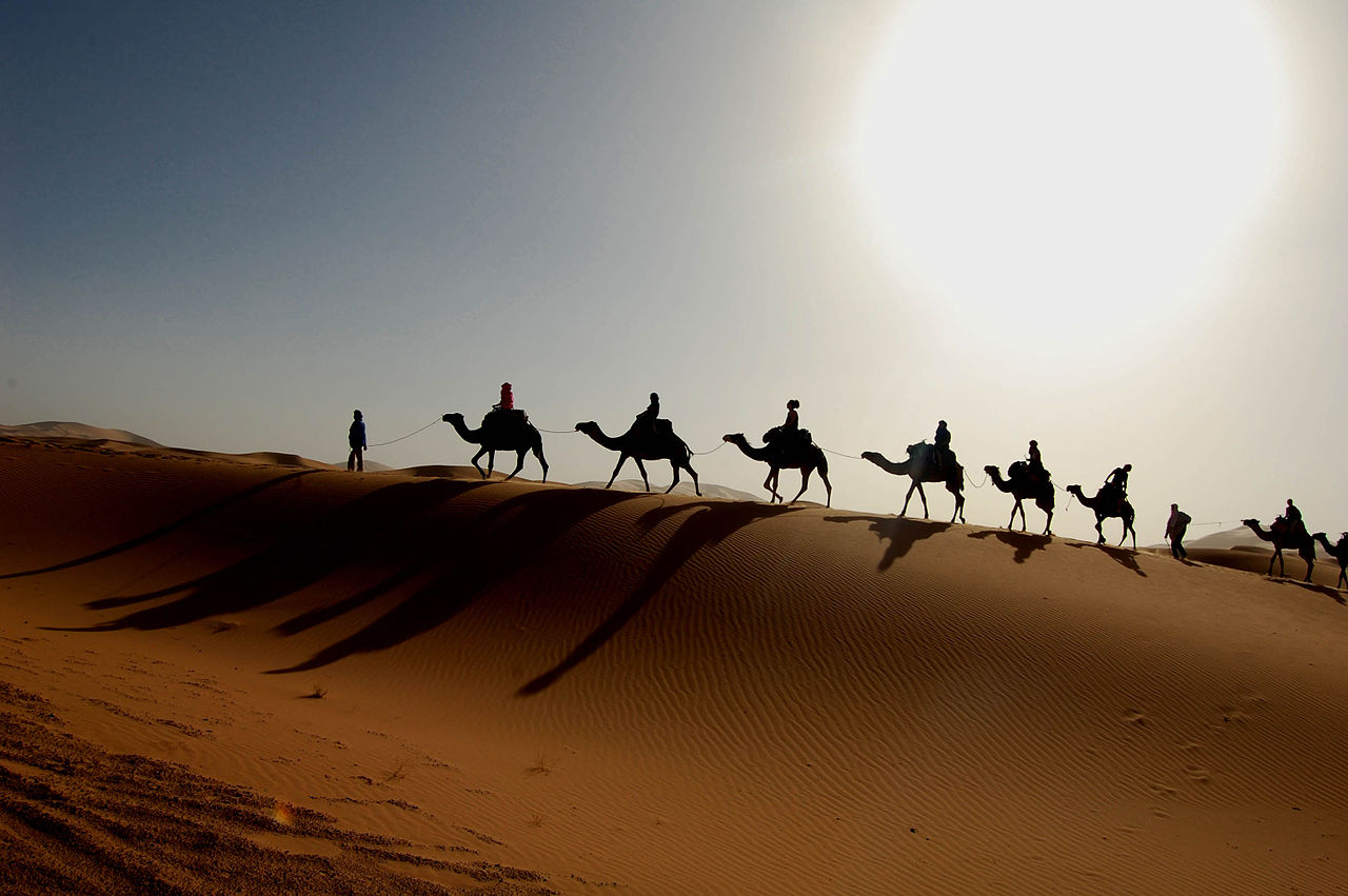 Maroc - caravane dans le sud Sahara