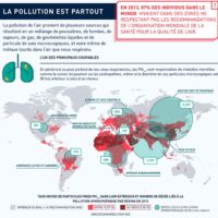 Monde – Pollution de l’air (2013)