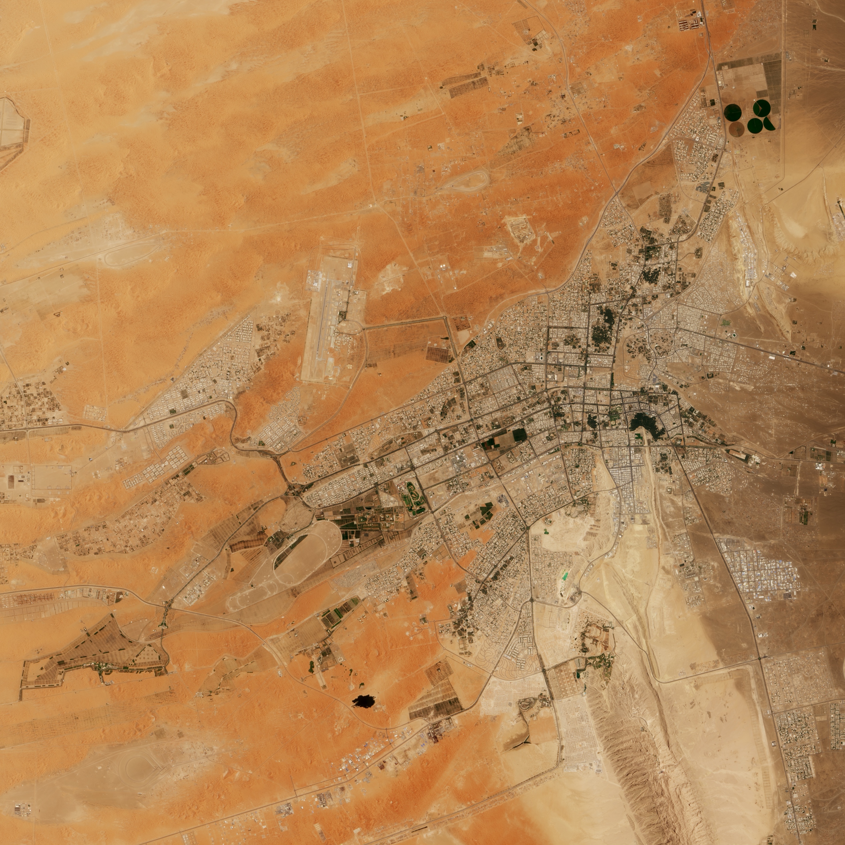 Al-Aïn - oasis au coeur du désert. Émirats arabes unis