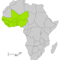 Africa – Economic Community of West African States (ECOWAS)