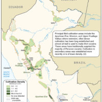 Peru – coca cultivation (2006)