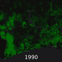 Ivory Coast – deforestation (1990-2015)