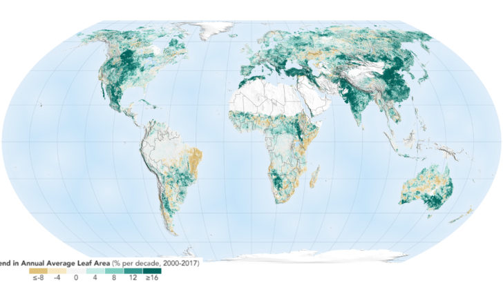 The world is greening since 2000