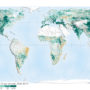 World – Global greening (2000-2017)