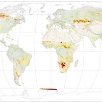 World – Fire size (2003-2016)