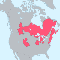 North America – Algonquian: languages