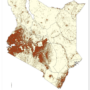 Kenya – population distribution (2019)