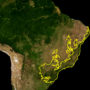 Brazil – Atlantic Forest (Mata Atlântica)