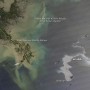 États-Unis – marée noire au large de la Louisiane (détail – avril 2010)