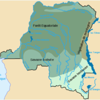 République démocratique du Congo – végétation