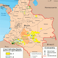 Colombia – coca cultivation