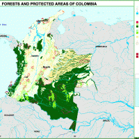 Colombia – forests