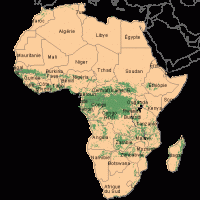 Africa – Forests