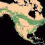 North America – Forests