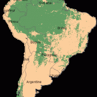 Amérique du Sud – Forêts