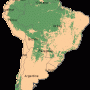Amérique du Sud – Forêts