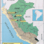 Peru – coca cultivation