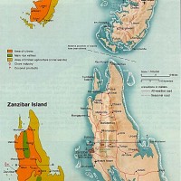 Zanzibar (île) – relief